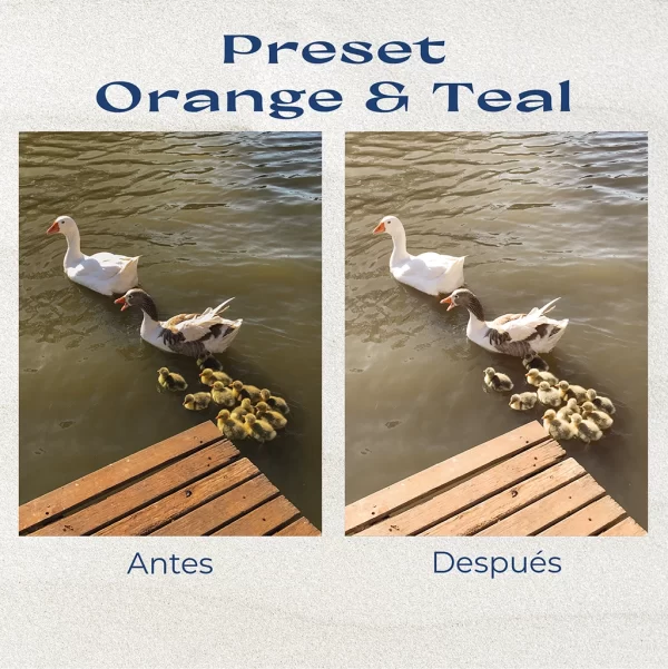 Pack de presets Soft - Imagen 5